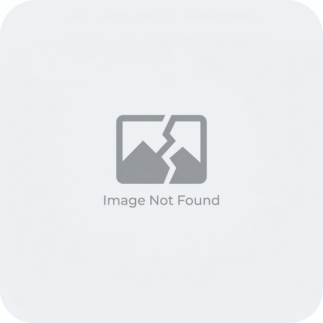 Elkhiar Education (Copy)